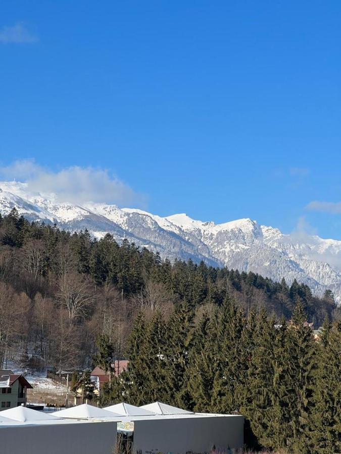 Coca Apart Mountain View Sinaia Exterior foto