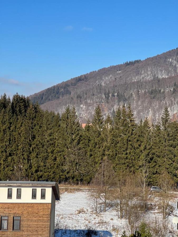 Coca Apart Mountain View Sinaia Exterior foto