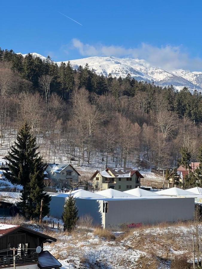 Coca Apart Mountain View Sinaia Exterior foto